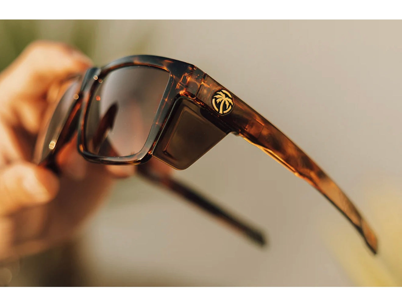 VISE POLARIZED TORTOISE