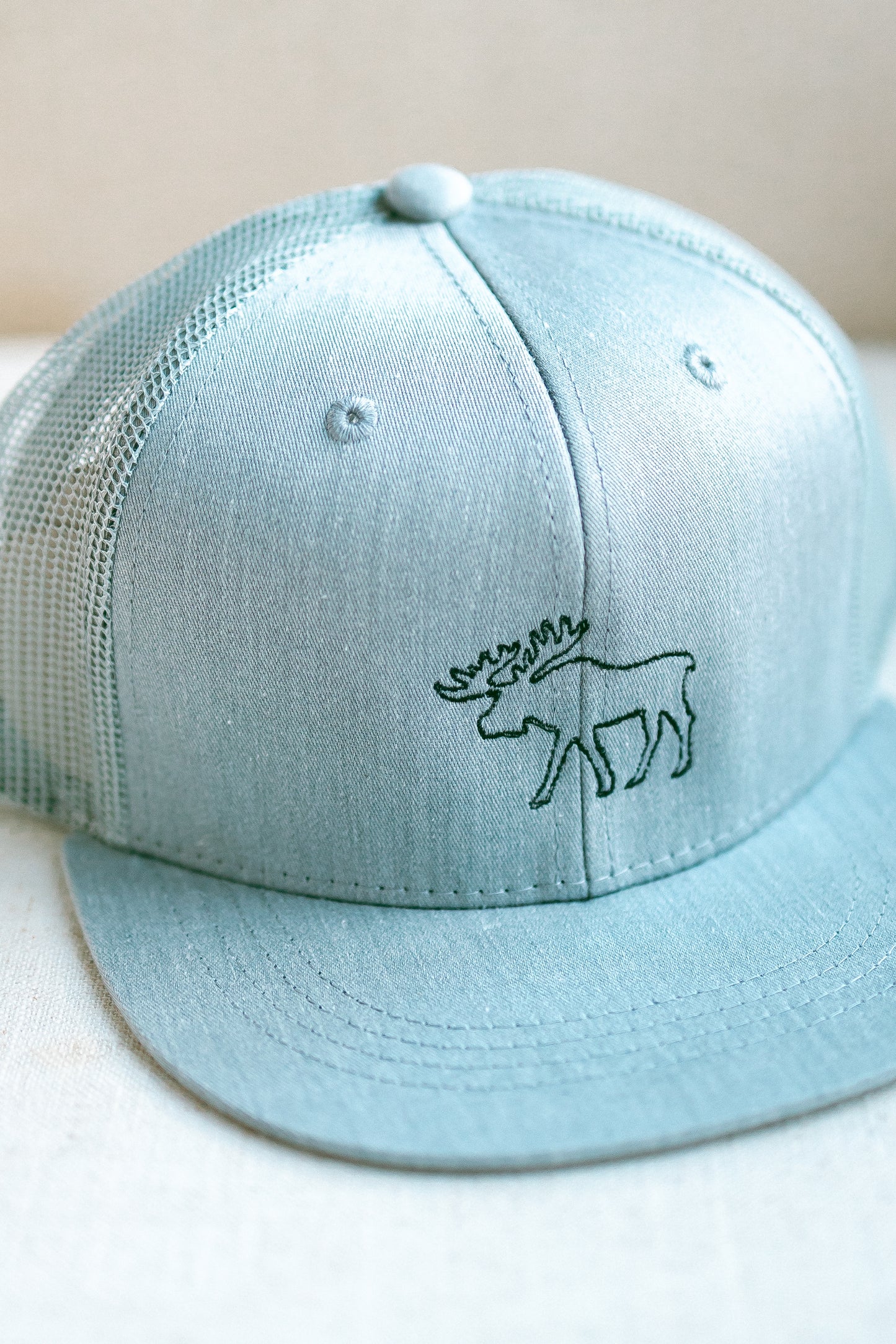 MOOSE