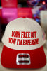 BORN FREE BUT NOW IM EXPENSIVE HAT